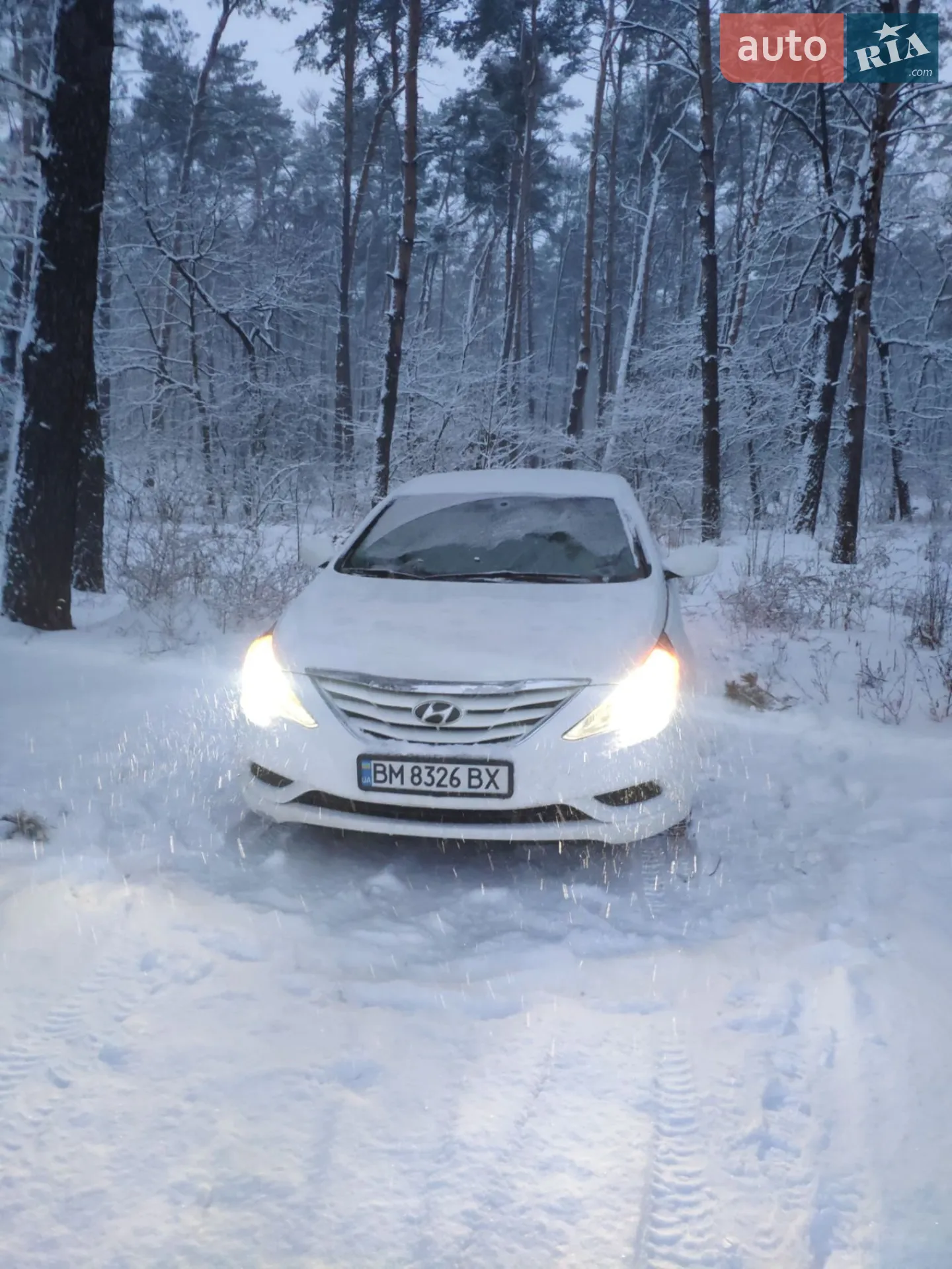 2012 Hyundai Sonata - мініатюра 2