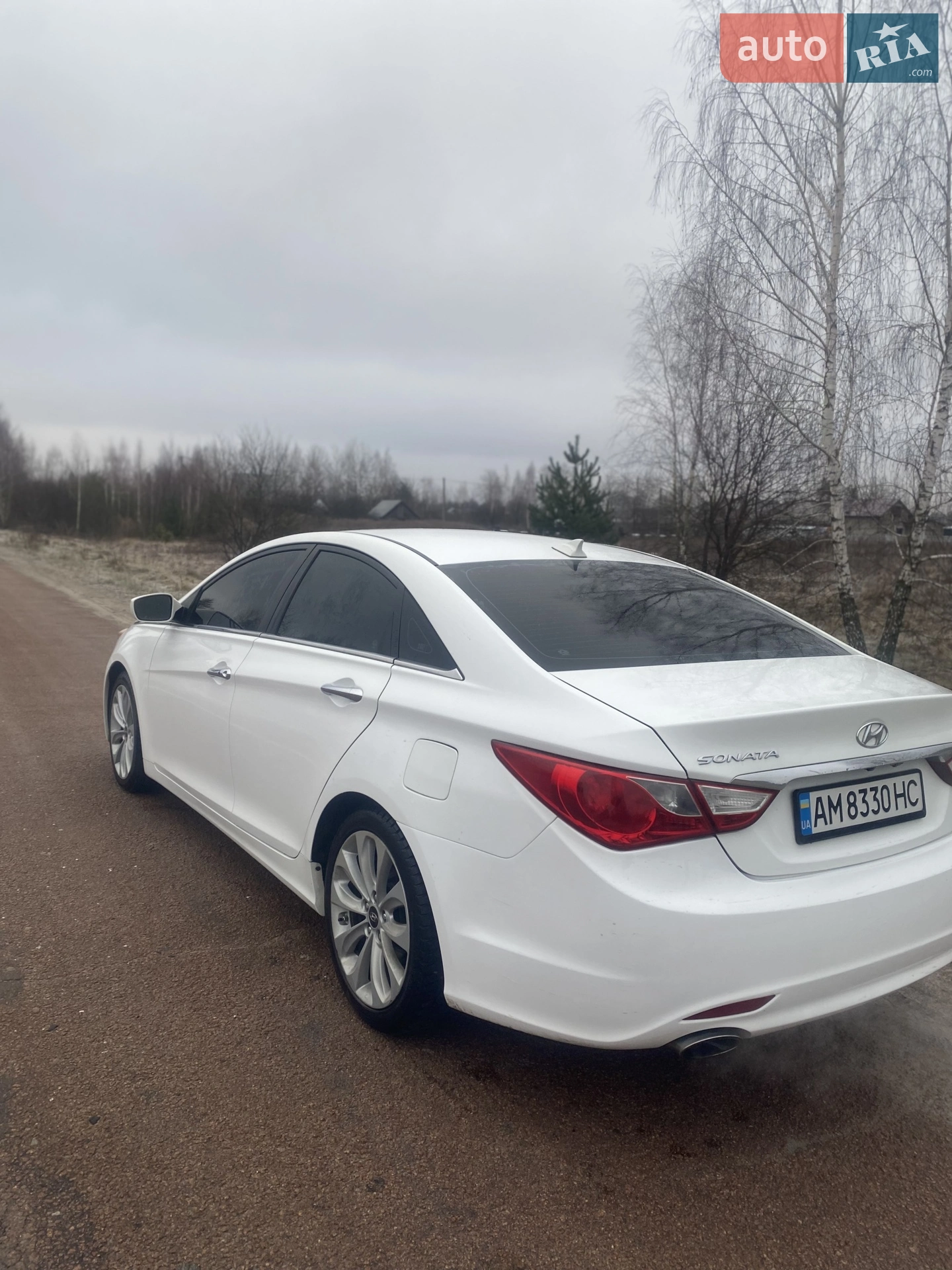 2013 Hyundai Sonata - мініатюра 19