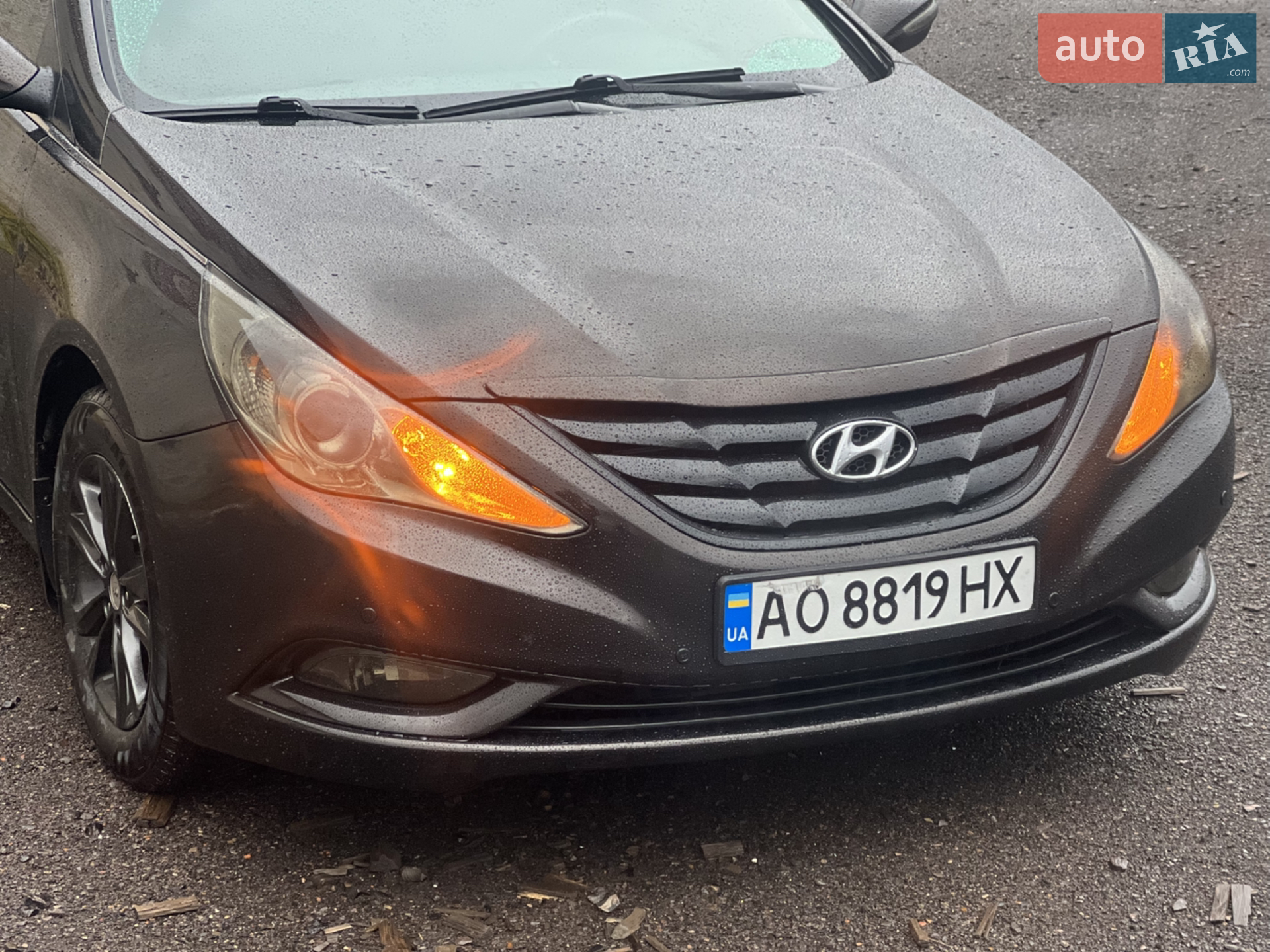 2010 Hyundai Sonata - мініатюра 3