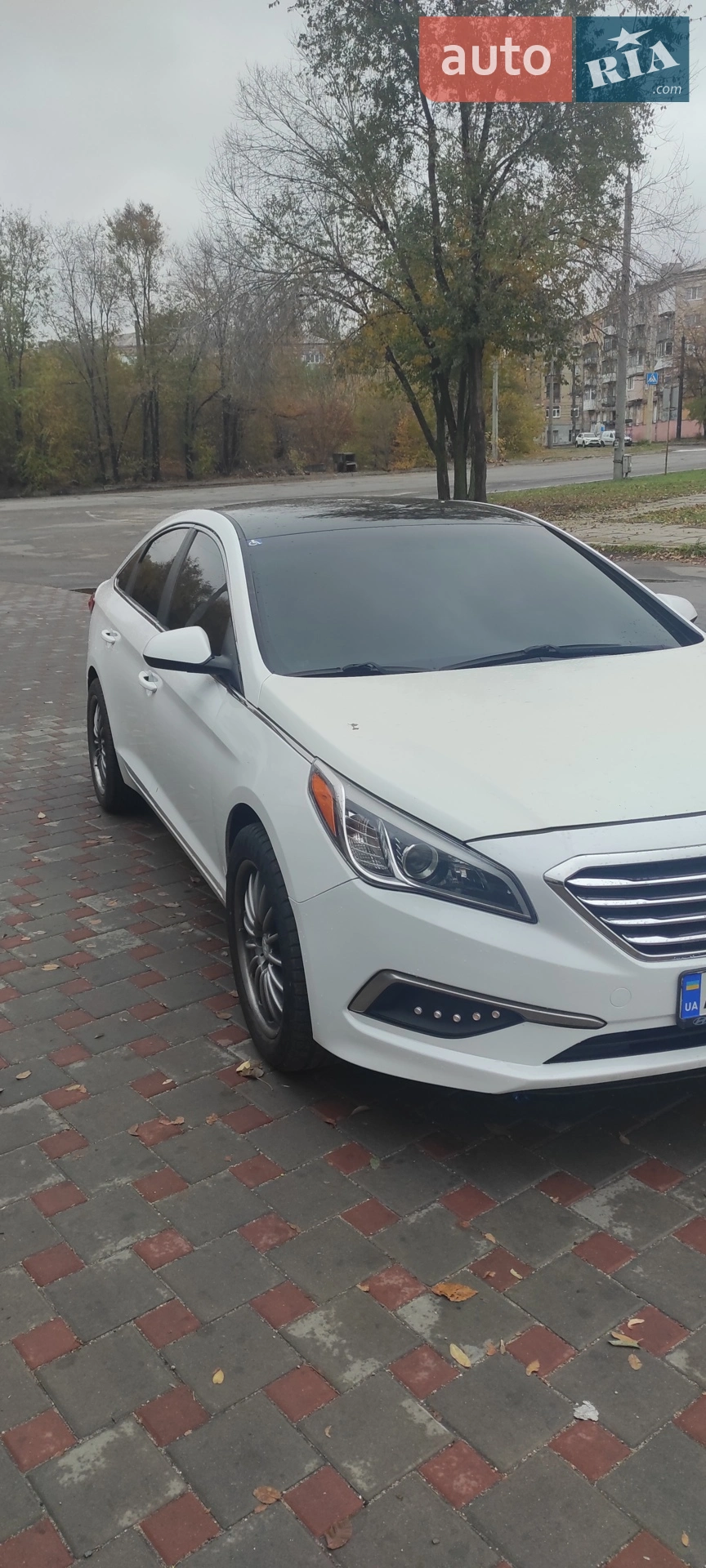 2016 Hyundai Sonata - мініатюра 11
