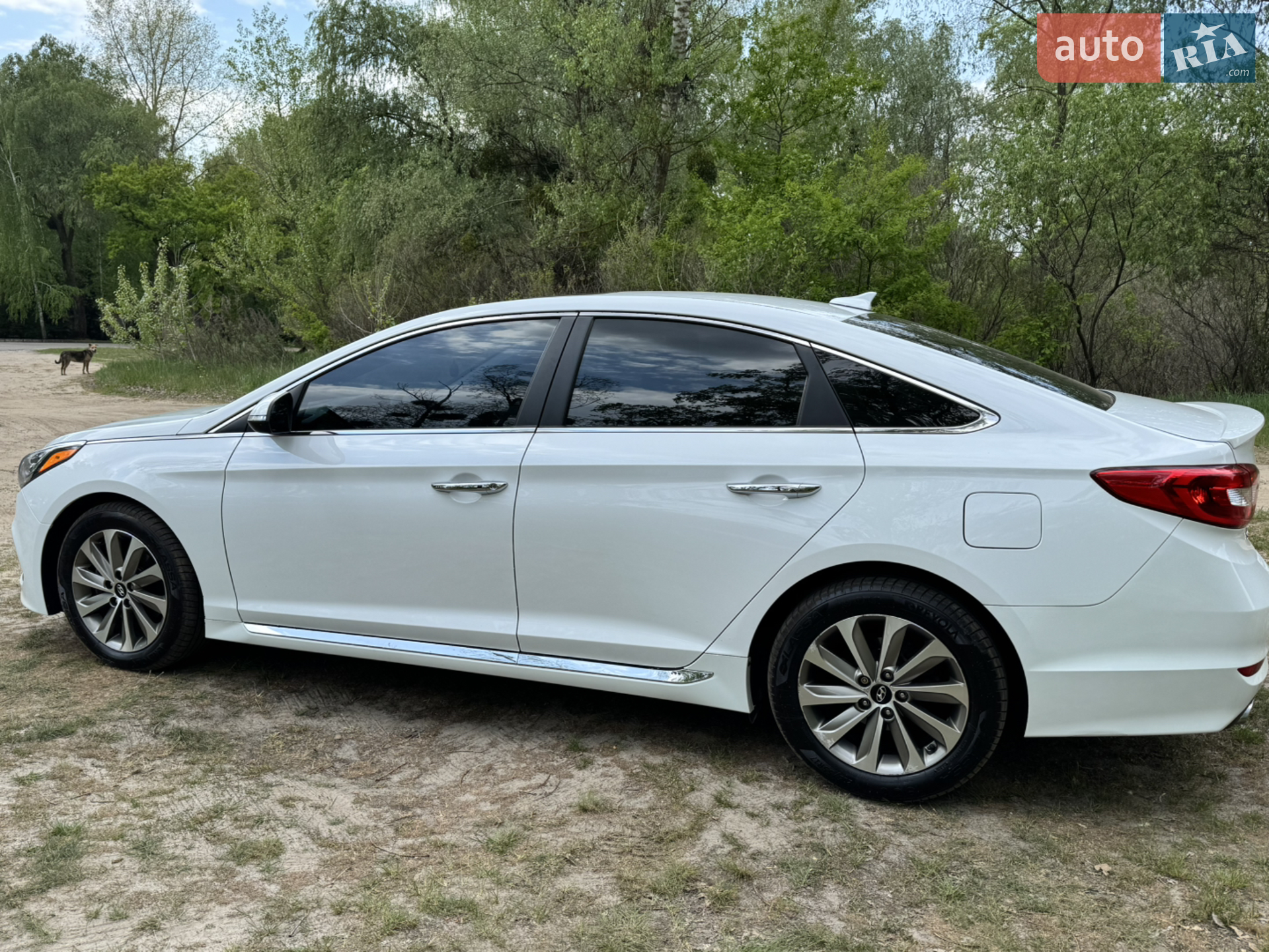 2016 Hyundai Sonata - мініатюра 11