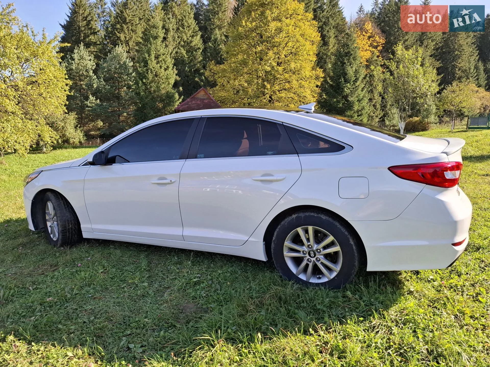 2014 Hyundai Sonata - мініатюра 9