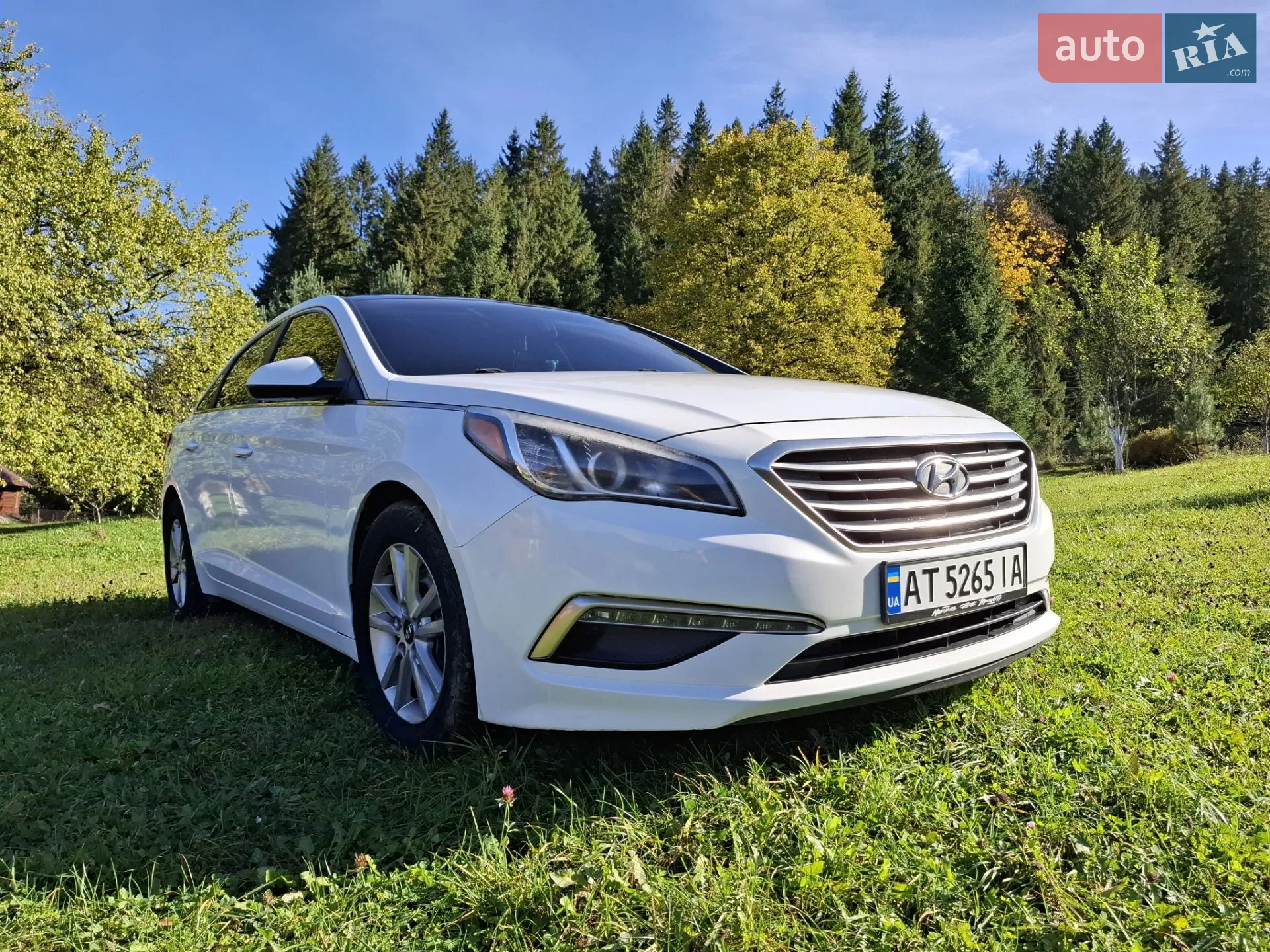 2014 Hyundai Sonata - мініатюра 12