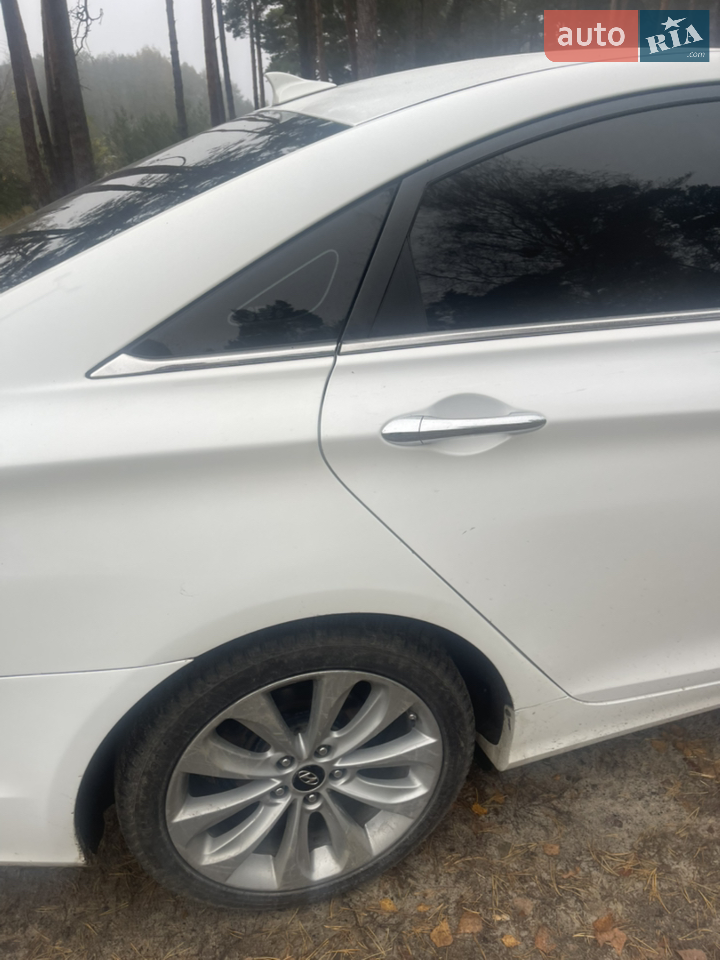 2013 Hyundai Sonata - мініатюра 13