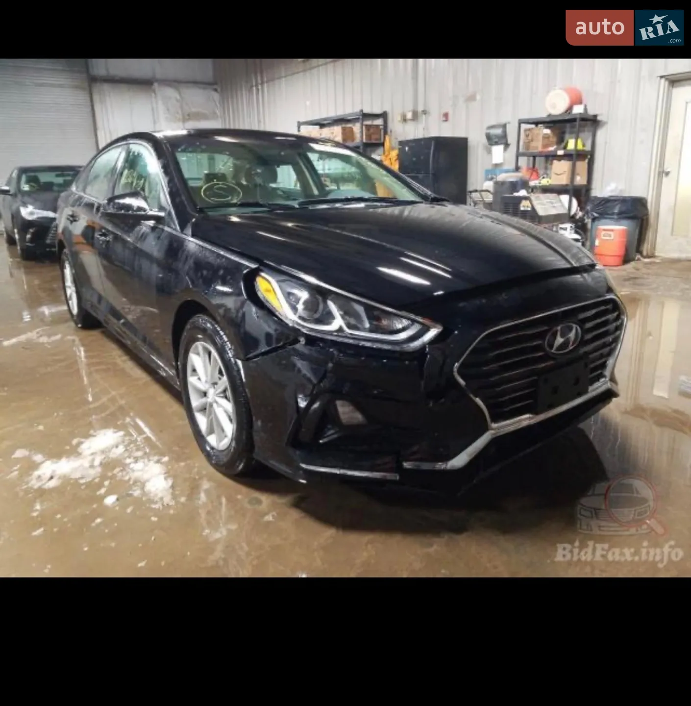 2019 Hyundai Sonata - мініатюра 3