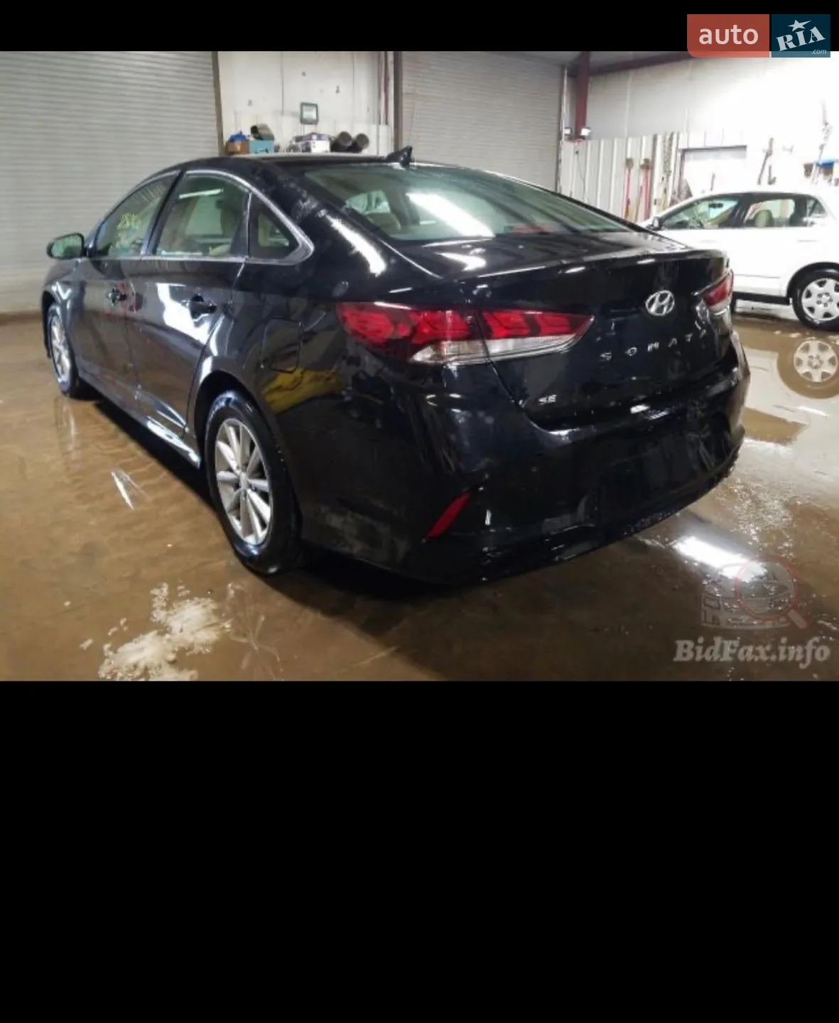2019 Hyundai Sonata - мініатюра 9