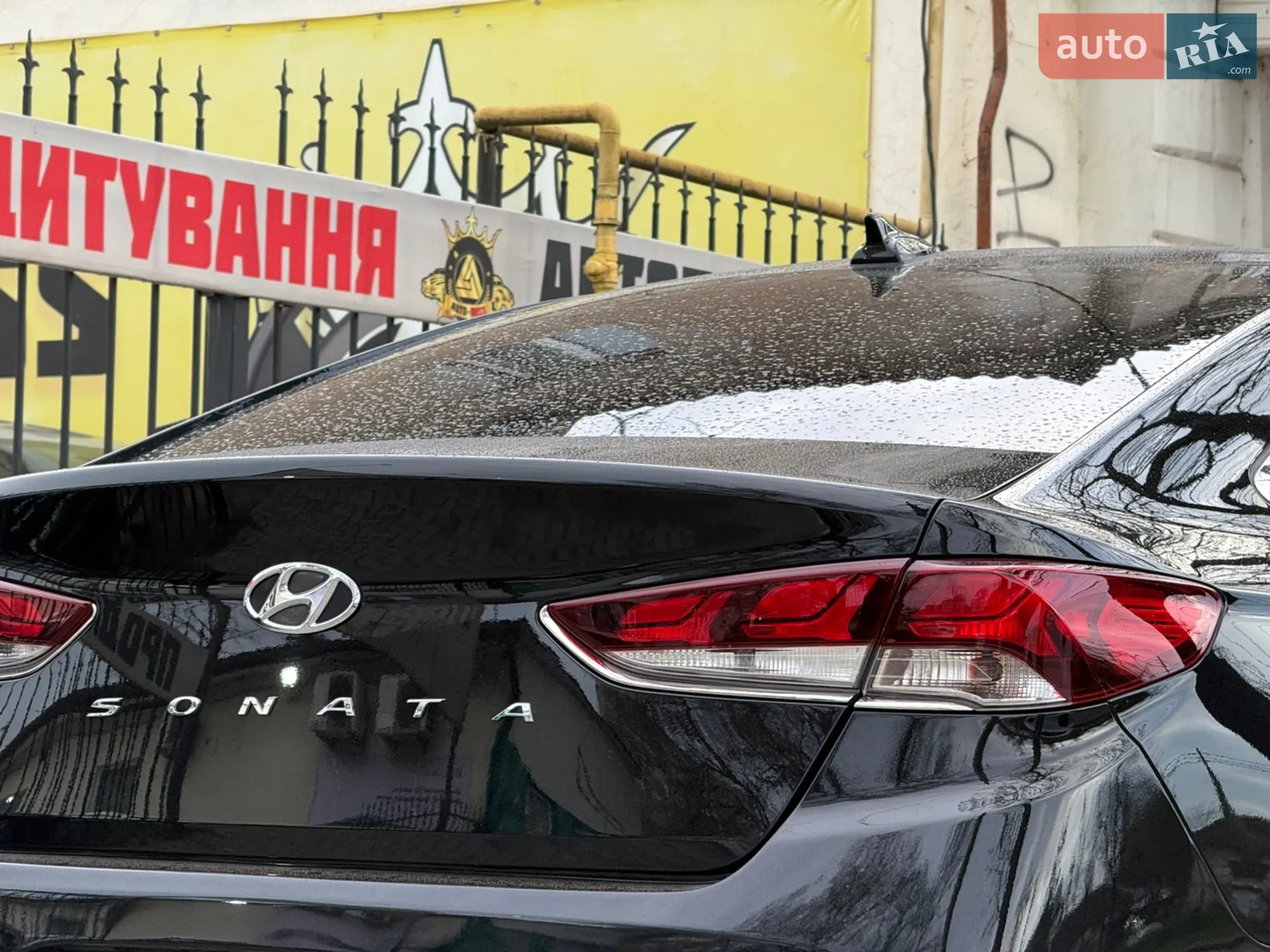 2017 Hyundai Sonata - мініатюра 17