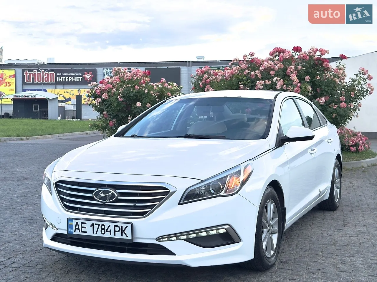 2014 Hyundai Sonata - мініатюра 33