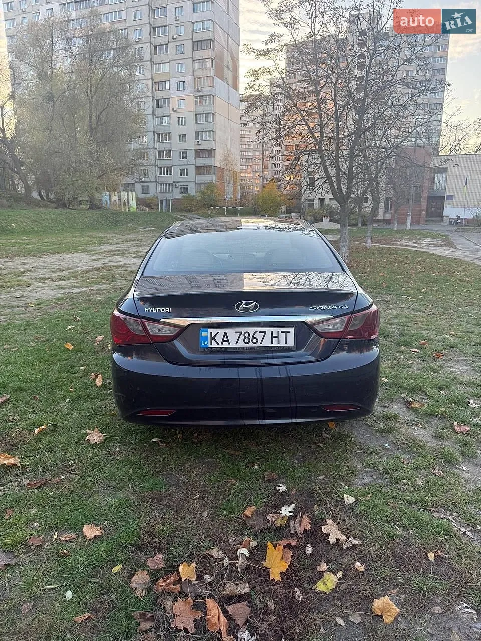 2010 Hyundai Sonata - мініатюра 5