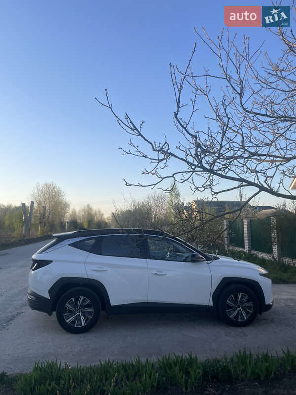 Внедорожник / Кроссовер Hyundai Tucson 2023 в Киеве фото 10 Внедорожник / Кроссовер Hyundai Tucson 2023 в Киеве