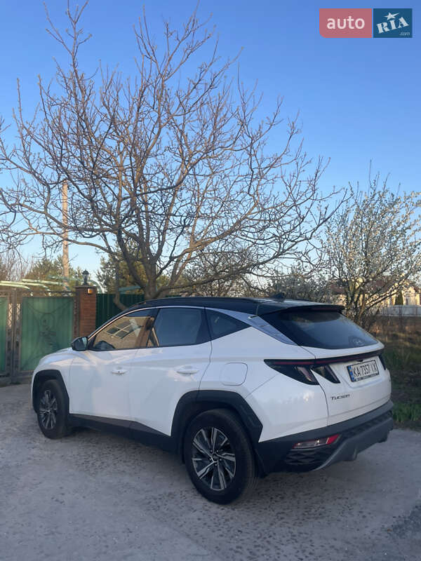 Внедорожник / Кроссовер Hyundai Tucson 2023 в Киеве фото 13 Внедорожник / Кроссовер Hyundai Tucson 2023 в Киеве