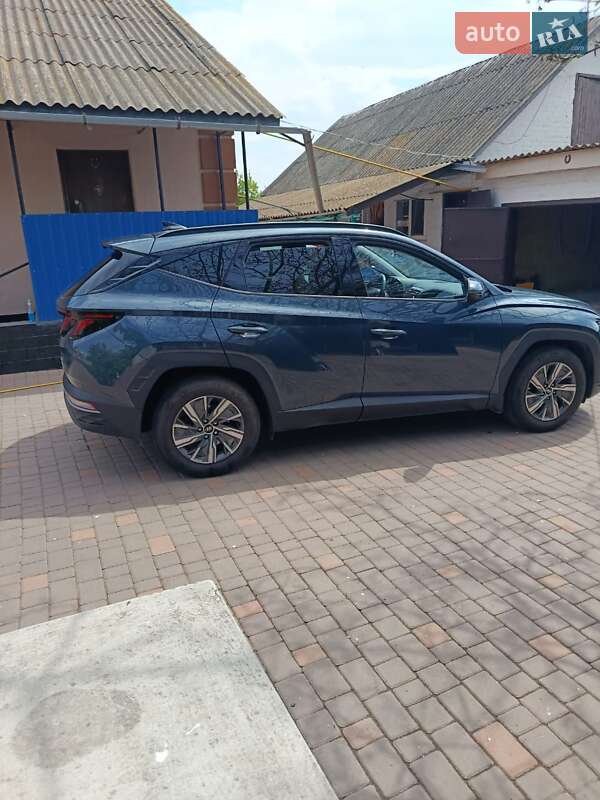 Позашляховик / Кросовер Hyundai Tucson 2022 в Тальному фото 3 Позашляховик / Кросовер Hyundai Tucson 2022 в Тальному