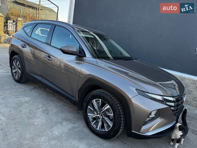 Внедорожник / Кроссовер Hyundai Tucson 2022 в Черновцах фото Внедорожник / Кроссовер Hyundai Tucson 2022 в Черновцах