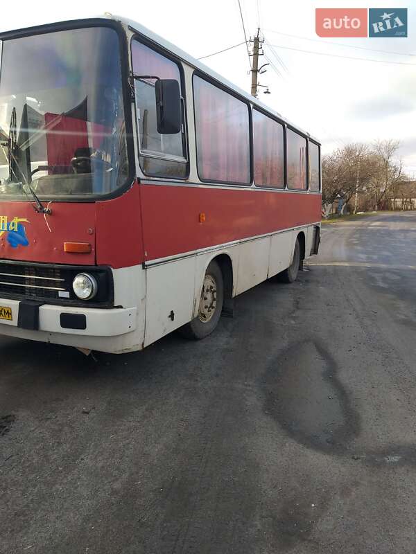 Приміський автобус Ikarus 211 1988 в Старокостянтинові фото 6 Приміський автобус Ikarus 211 1988 в Старокостянтинові