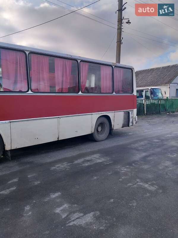 Приміський автобус Ikarus 211 1988 в Старокостянтинові фото 2 Приміський автобус Ikarus 211 1988 в Старокостянтинові