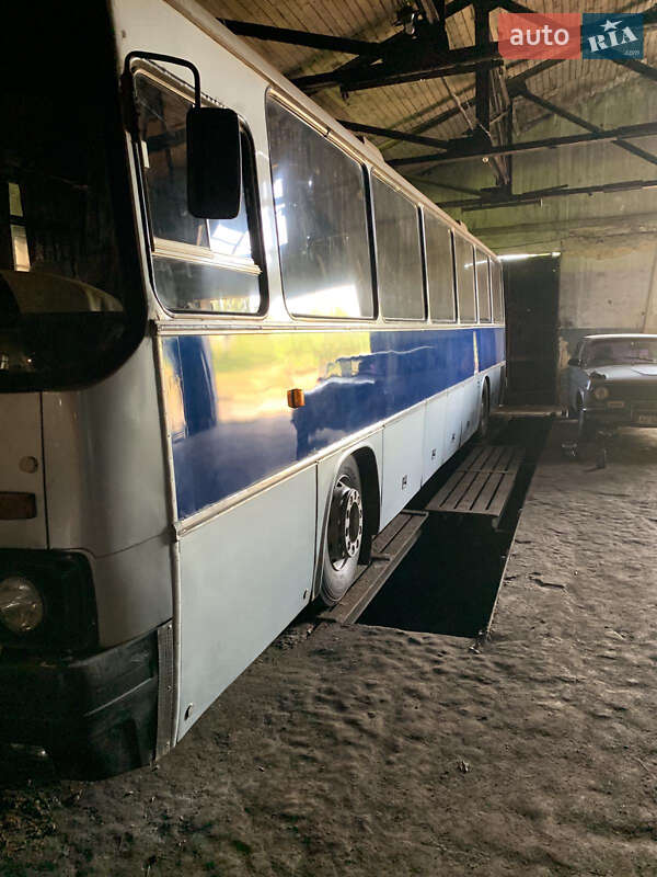 Туристический / Междугородний автобус Ikarus 250 1989 в Кривом Роге фото 10 Туристический / Междугородний автобус Ikarus 250 1989 в Кривом Роге