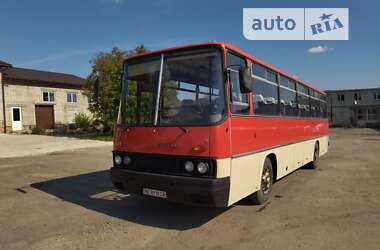 Туристический / Междугородний автобус Ikarus 256 1989 в Дрогобыче