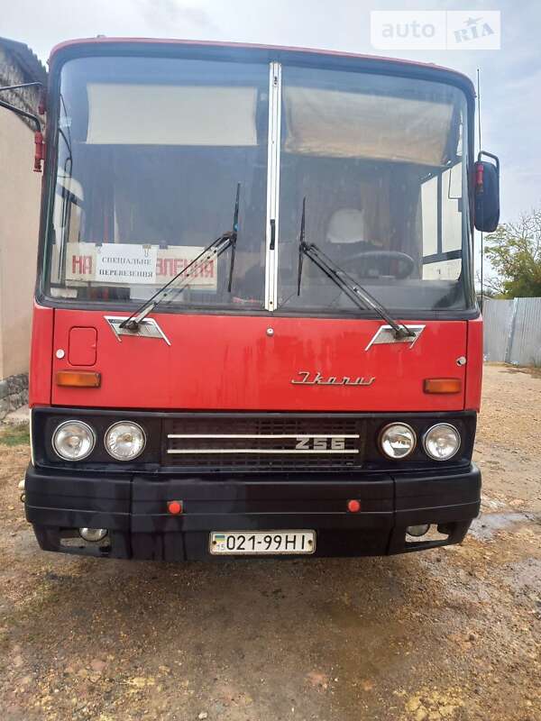Туристичний / Міжміський автобус Ikarus 256 1989 в Миколаєві
