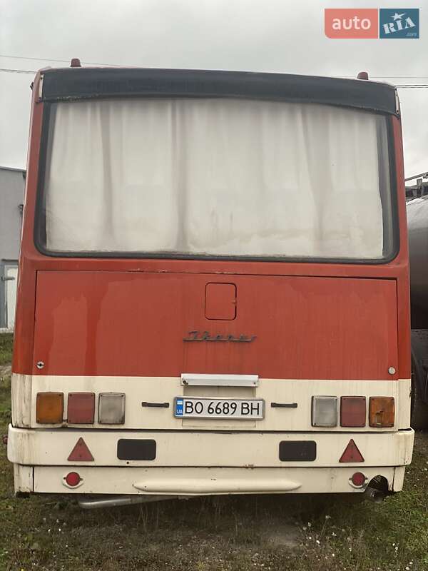 Туристический / Междугородний автобус Ikarus 256 1990 в Тернополе