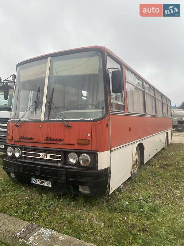 Туристический / Междугородний автобус Ikarus 256 1990 в 