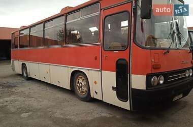 Туристический / Междугородний автобус Ikarus 256 1989 в Львове