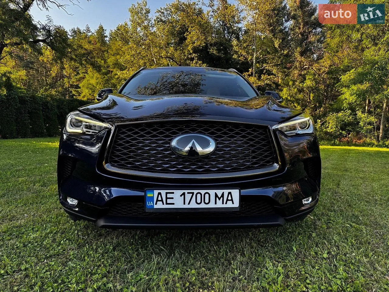 2019 Infiniti QX50 - мініатюра 3