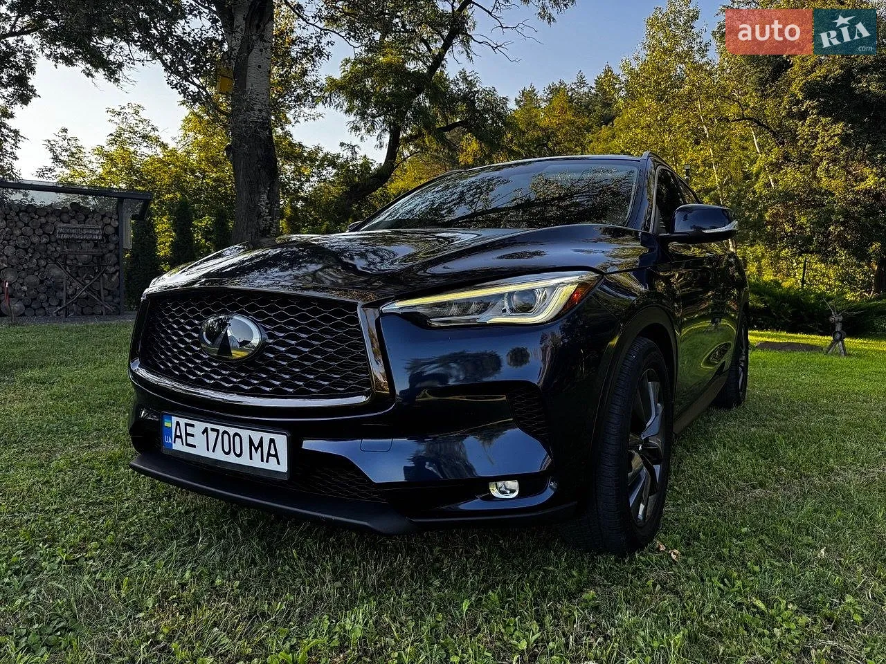 2019 Infiniti QX50 - мініатюра 13