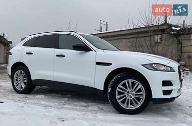 Внедорожник / Кроссовер Jaguar F-Pace 2016 в Киеве фото 67 Внедорожник / Кроссовер Jaguar F-Pace 2016 в Киеве