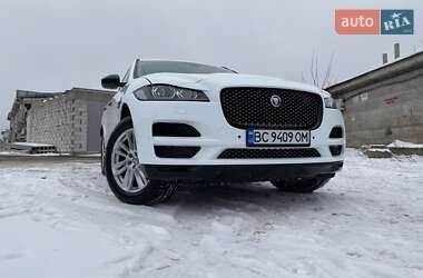 Внедорожник / Кроссовер Jaguar F-Pace 2016 в Киеве фото 72 Внедорожник / Кроссовер Jaguar F-Pace 2016 в Киеве