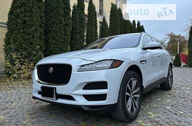 Позашляховик / Кросовер Jaguar F-Pace 2017 в Кам'янець-Подільському