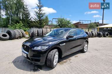 Внедорожник / Кроссовер Jaguar F-Pace 2017 в Хмельницком