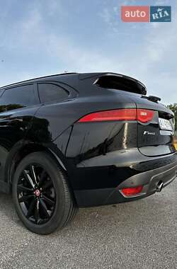 Позашляховик / Кросовер Jaguar F-Pace 2016 в Києві