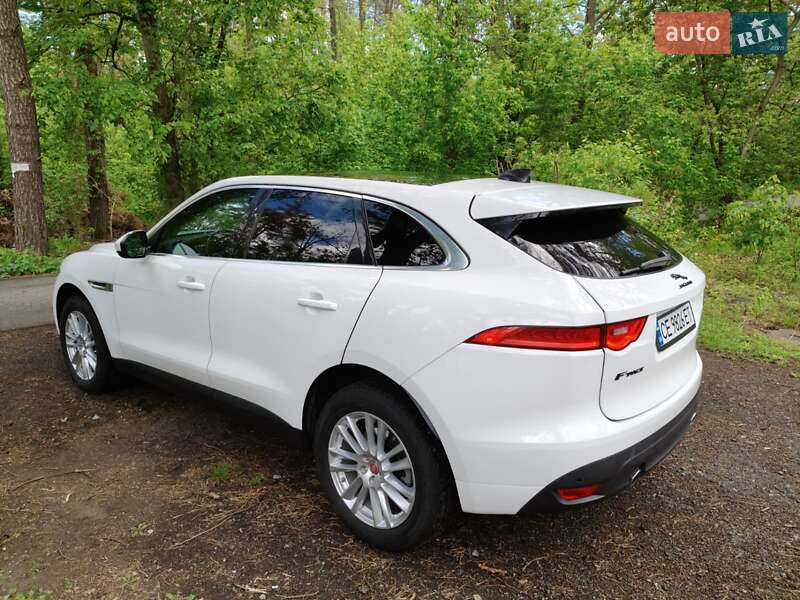 Внедорожник / Кроссовер Jaguar F-Pace 2019 в Киеве