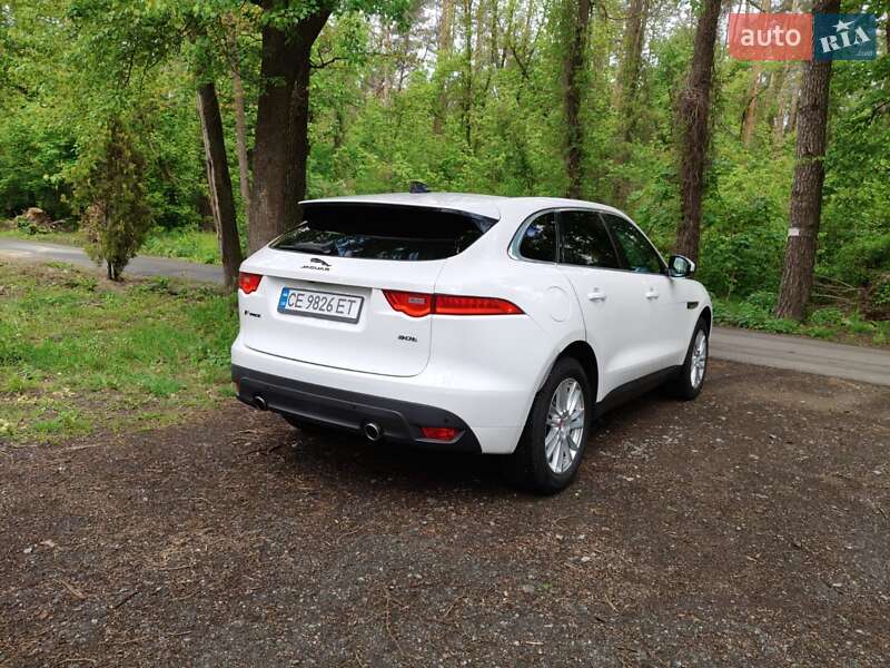 Внедорожник / Кроссовер Jaguar F-Pace 2019 в Киеве