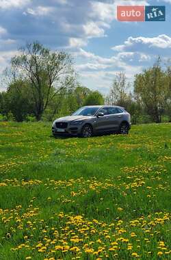 Внедорожник / Кроссовер Jaguar F-Pace 2016 в Киеве