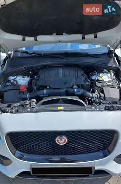 Позашляховик / Кросовер Jaguar F-Pace 2016 в 