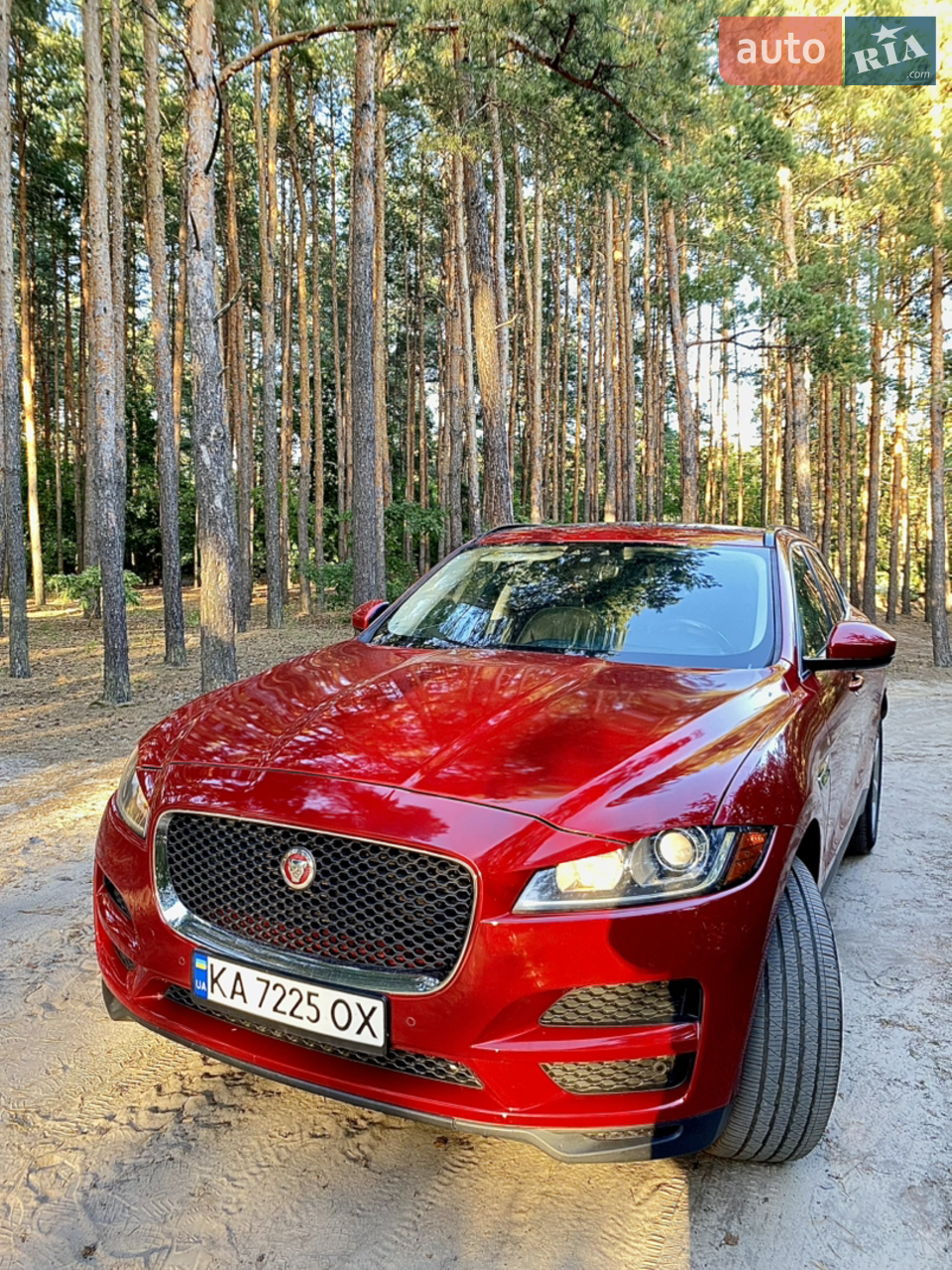 2019 Jaguar F-Pace - мініатюра 82