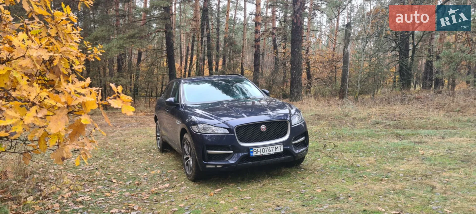 2017 Jaguar F-Pace - мініатюра 3