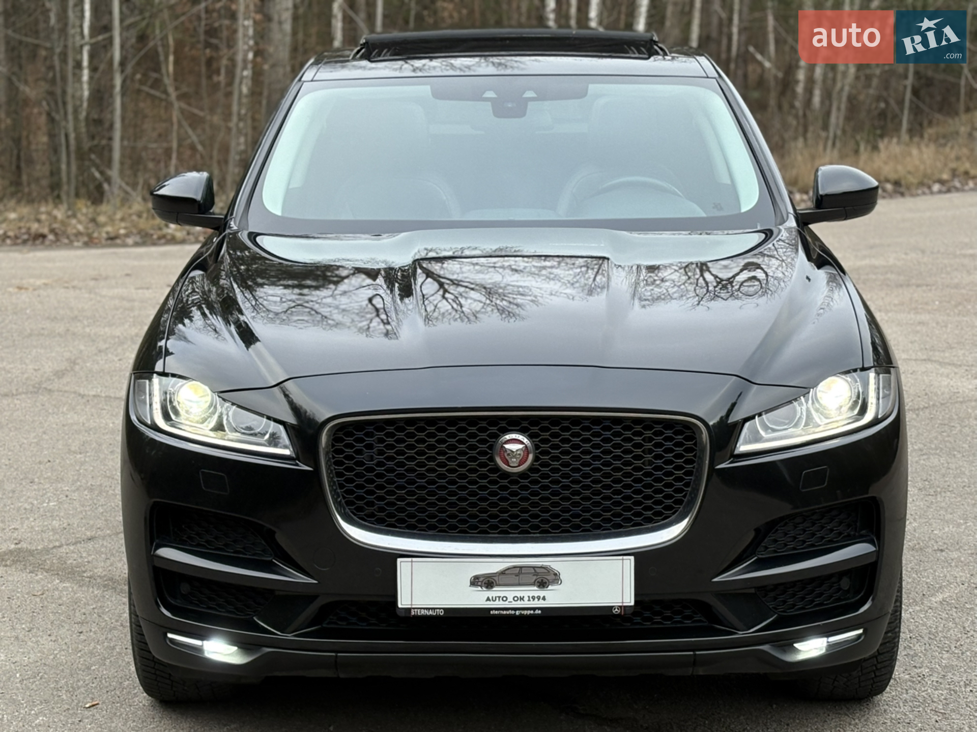 2016 Jaguar F-Pace - мініатюра 27