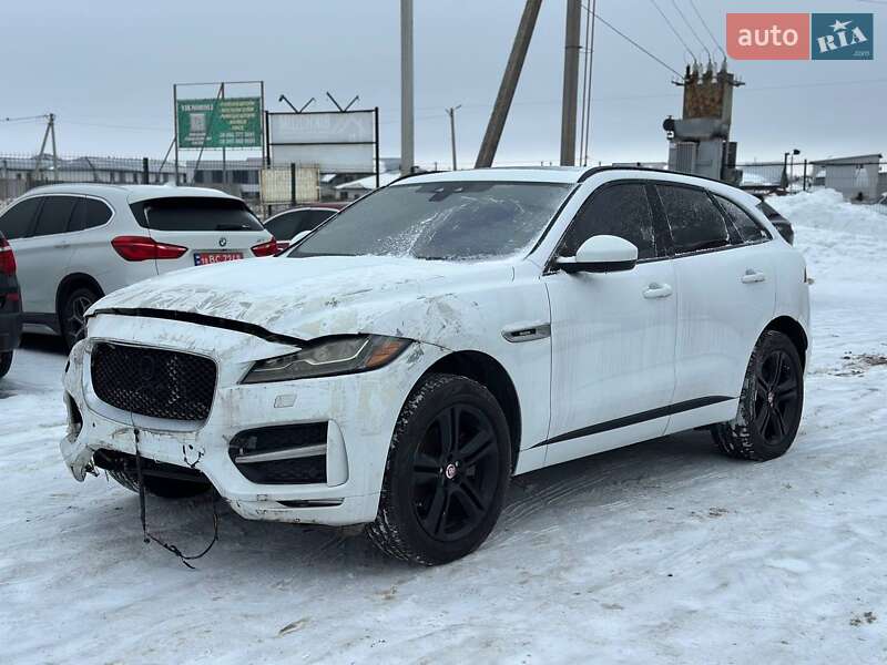 2019 Jaguar F-Pace, VIN SADCL2GX6KA396147:plate — фото 1 (autoria)