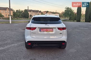 Позашляховик / Кросовер Jaguar F-Pace 2017 в Дубні