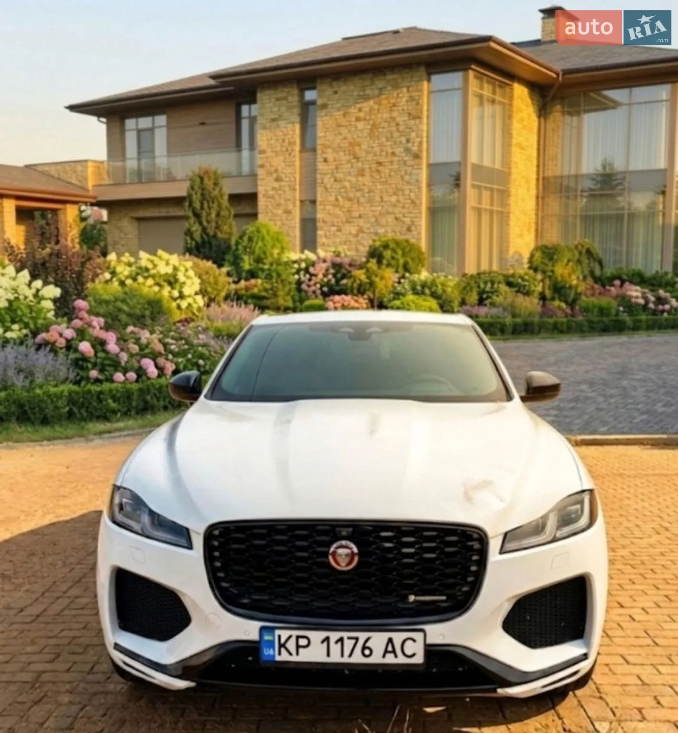 2023 Jaguar F-Pace - мініатюра 4