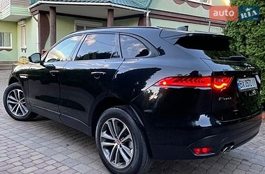Внедорожник / Кроссовер Jaguar F-Pace 2016 в Хмельницком