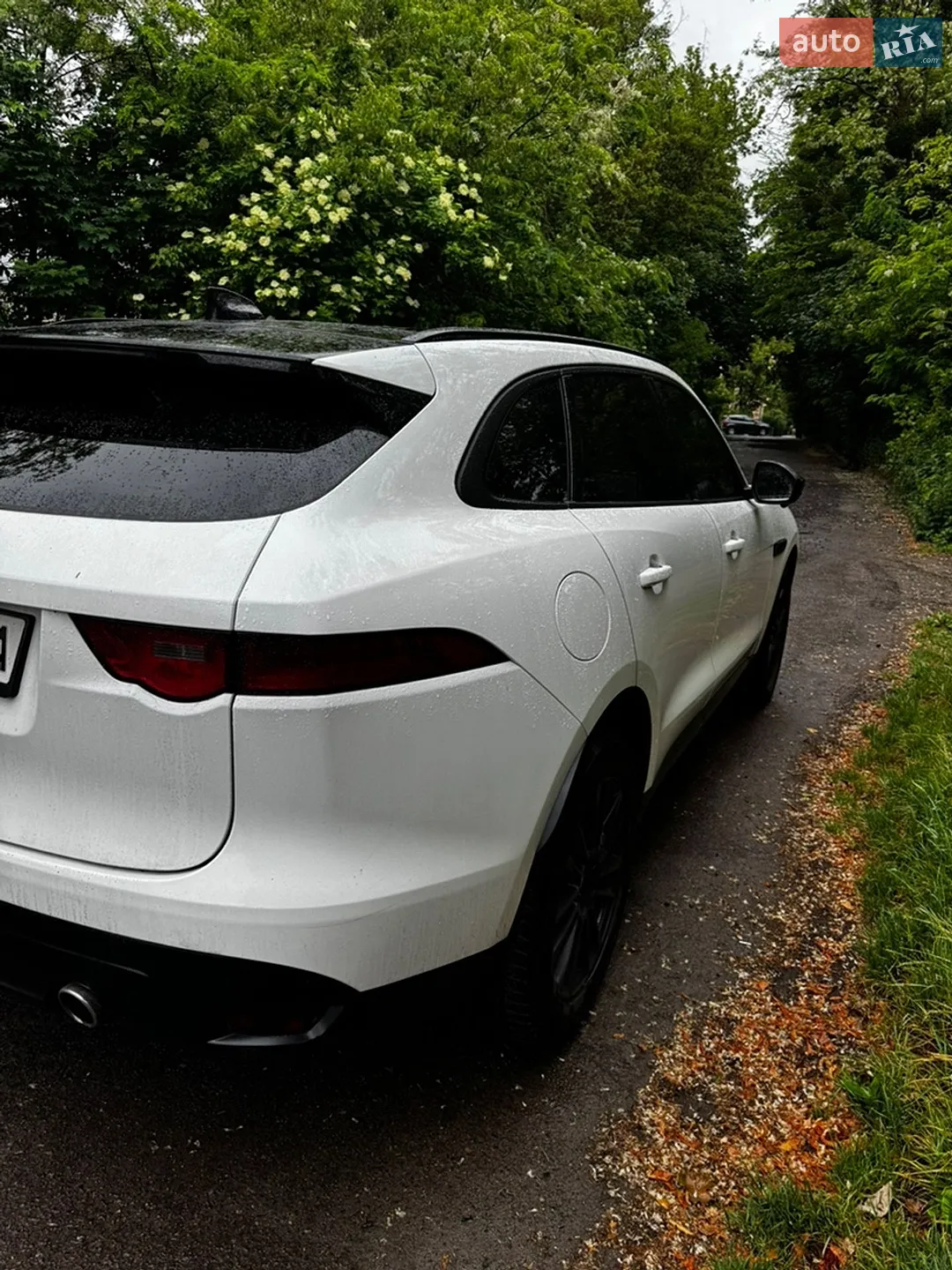 2017 Jaguar F-Pace - мініатюра 11