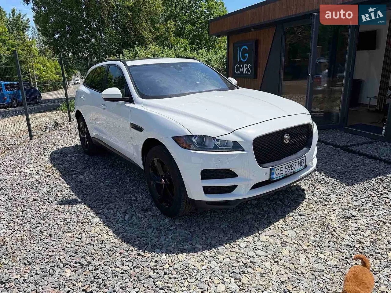 2016 Jaguar F-Pace - мініатюра 36