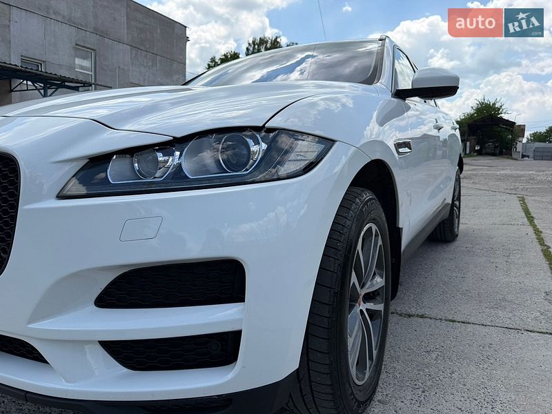 Внедорожник / Кроссовер Jaguar F-Pace 2016 в Хмельницком фото 12 Внедорожник / Кроссовер Jaguar F-Pace 2016 в Хмельницком