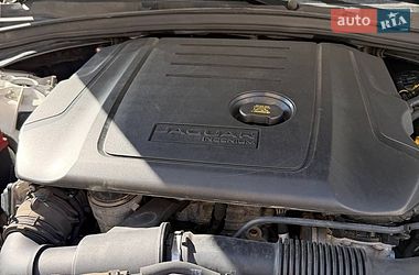 Внедорожник / Кроссовер Jaguar F-Pace 2017 в Ужгороде