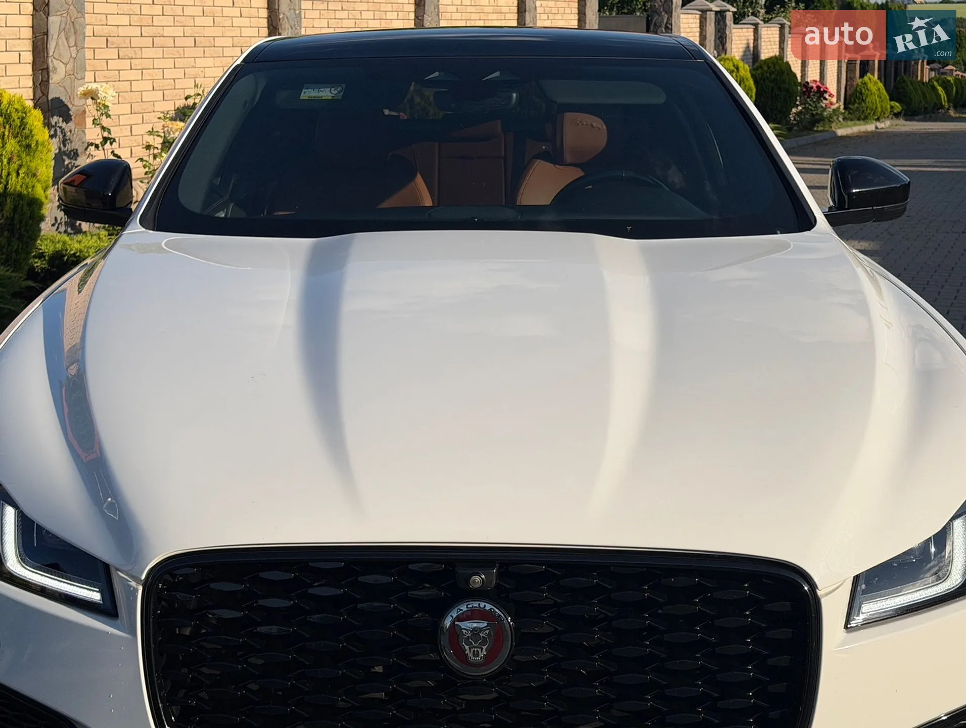 2021 Jaguar F-Pace - мініатюра 12