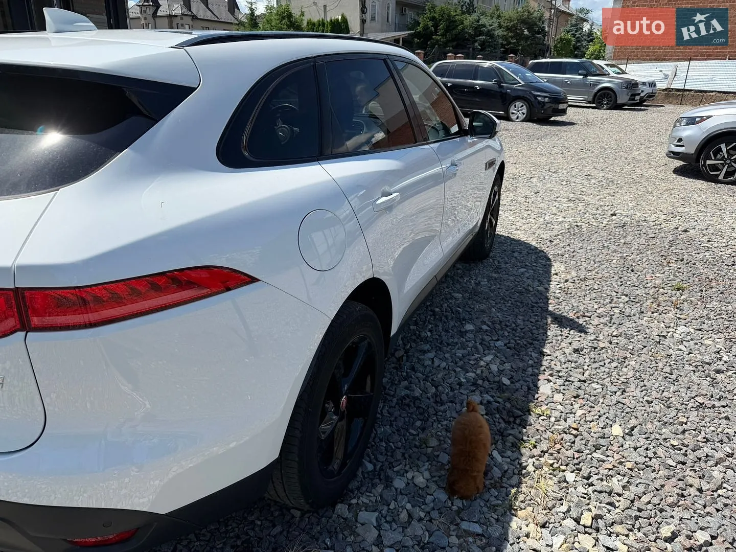 2017 Jaguar F-Pace - мініатюра 5