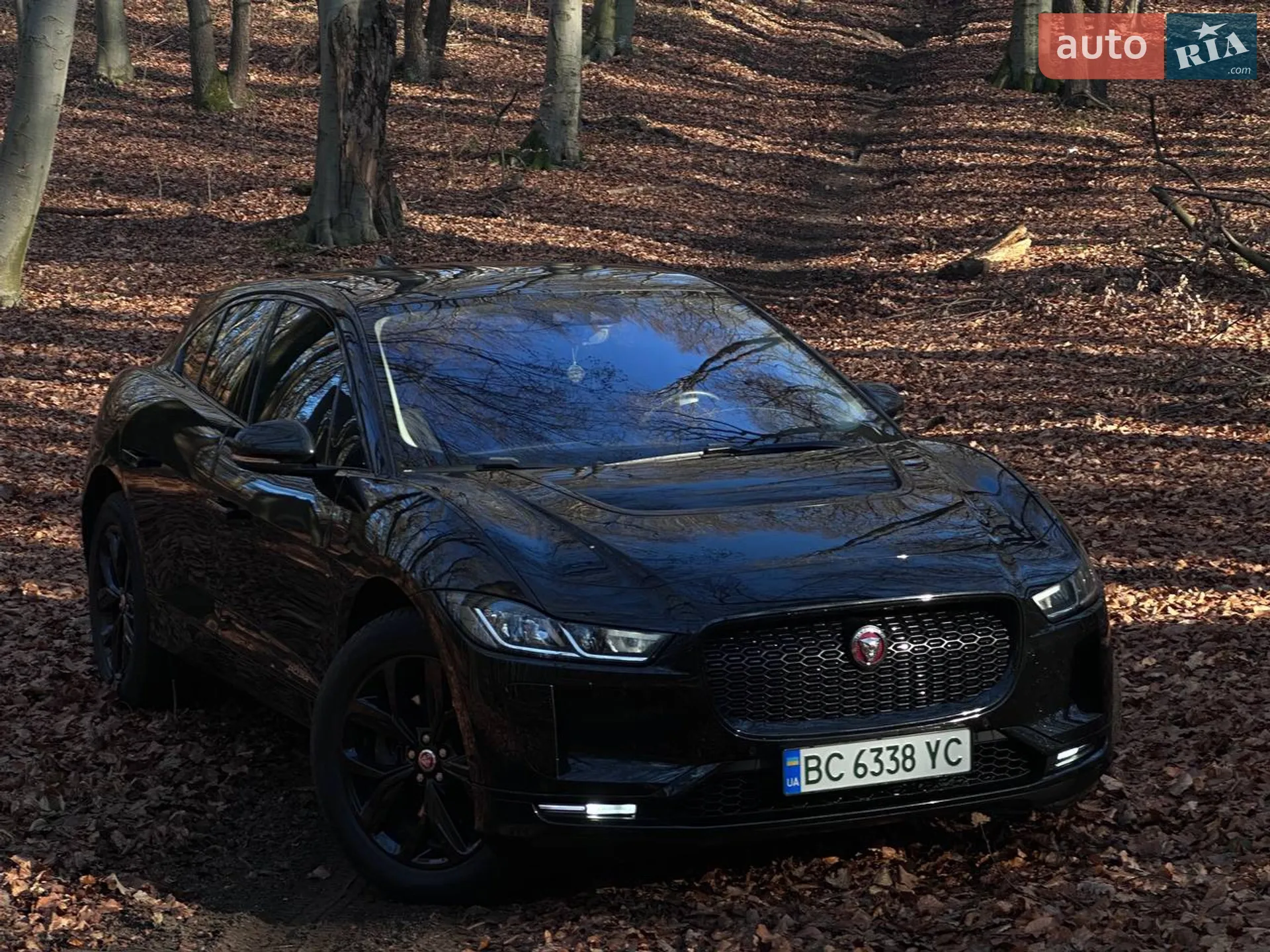 2019 Jaguar I-Pace - мініатюра 2